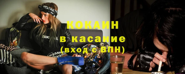 трава Няндома