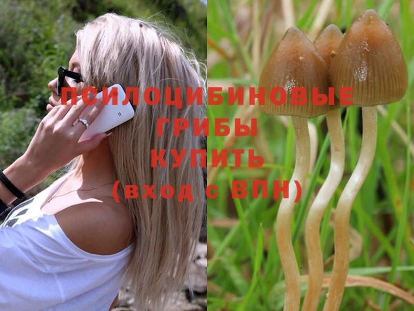 прущие крисы Нягань