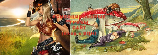 трава Няндома