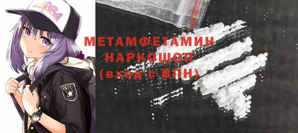 трава Няндома